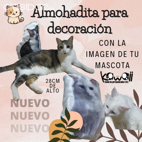 Perros - Gatos - Almohadita Personalizada CDE-PY