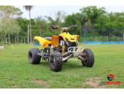 CAN-AM DS 450 2008