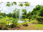VENDO QUINTA EN EUSEBIO AYALA VENDO QUINTA EN EUSEBIO AYALA