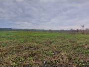 Alquilo Campo Agricola Mecanizado en San Ignacio - 350 Ha. Alquilo Campo Agricola Mecanizado en San Ignacio - 350 Ha.