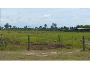 EN VENTA PROPIEDAD RURAL EN BENJAMIN ACEVAL ID 30880 EN VENTA PROPIEDAD RURAL EN BENJAMIN ACEVAL ID 30880
