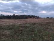 En Venta Terreno en Fram Itapúa ID 37343 En Venta Terreno en Fram Itapúa ID 37343
