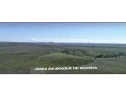 ESTANCIA FORMADA EN NUEVA ITALIA - INMEJORABLE UBICACION! ESTANCIA FORMADA EN NUEVA ITALIA - INMEJORABLE UBICACION!
