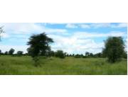 En venta estancia de 31.677 hectareas en Alto Paraguay En venta estancia de 31.677 hectareas en Alto Paraguay