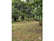 VENDO UN TERRENO EN CAPIATA KM 21 RUTA 1 VENDO UN TERRENO EN CAPIATA KM 21 RUTA 1