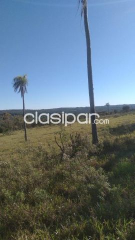 VENDO A PRECIO DE OPORTUNIDAD!! TERRENO DE 8.5 HÁ EN MBATOVI - PIRIBEBUY | Clasipar Terrenos - VENDO A PRECIO DE OPORTUNIDAD!! TERRENO DE 8.5 HÁ EN MBATOVI - PIRIBEBUY