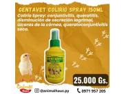 Gentavet colirio spray Gentavet colirio spray