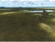 VENTA DE TERRENO RURAL EN NUEVA ITALIA VENTA DE TERRENO RURAL EN NUEVA ITALIA