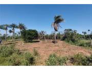 EN VENTA 3,7 HECTAREAS EN NVA COLOMBIA CORDILLERA EN VENTA 3,7 HECTAREAS EN NVA COLOMBIA CORDILLERA