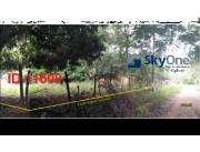 🌴💥¡VENDO PROPIEDAD EN AREGUA, COSTA FLEITAS!💥🌴 🌴💥¡VENDO PROPIEDAD EN AREGUA, COSTA FLEITAS!💥🌴