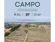 EN VENTA CAMPO DE 20 HECTAREAS SOBRE RUTA 1 EN VENTA CAMPO DE 20 HECTAREAS SOBRE RUTA 1