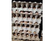 🥚 ¡OFERTA IRRESISTIBLE EN PLANCHAS DE HUEVOS! 🥚 🥚 ¡OFERTA IRRESISTIBLE EN PLANCHAS DE HUEVOS! 🥚