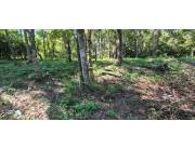 Vendo terreno zona Anfiteatro JA Flores - San Bernardino Vendo terreno zona Anfiteatro JA Flores - San Bernardino