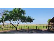 EN VENTA TERRENO ESPECIAL PARA GANADERIA EN GRAL ARTIGAS EN VENTA TERRENO ESPECIAL PARA GANADERIA EN GRAL ARTIGAS