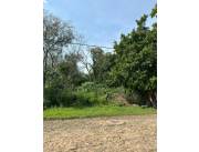 TERRENO A LA VENTA EN SANBER A METROS DE LA NAUMANN TERRENO A LA VENTA EN SANBER A METROS DE LA NAUMANN