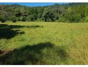 VENDO AMPLIO TERRENO RURAL DE 52 Há EN COLONIA INDEPENDENCIA. OPORTUNIDAD DE INVERSIÓN!!! VENDO AMPLIO TERRENO RURAL DE 52 Há EN COLONIA INDEPENDENCIA. OPORTUNIDAD DE INVERSIÓN!!!