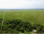 Campo Ganadero en Coronel Oviedo - 203 Ha. Campo Ganadero en Coronel Oviedo - 203 Ha.