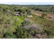 VENDO 43 HECTAREAS FERTILES EN PIRIBEBUY CORDILLERA VENDO 43 HECTAREAS FERTILES EN PIRIBEBUY CORDILLERA