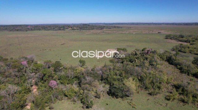 VENDO AMPLIO TERRENO RURAL DE 45 Há EN CORONEL OVIEDO, SOBRE RUTA PY08, ZONA CHIRCATY | Clasipar Propiedades rurales - VENDO AMPLIO TERRENO RURAL DE 45 Há EN CORONEL OVIEDO, SOBRE RUTA PY08, ZONA CHIRCATY