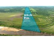 VENDO 55 HECTÁREAS EN ARROYOS Y ESTEROS-CORDILLERA C/80 MTRS DE PLAYA S/RIO MANDUVIRA VENDO 55 HECTÁREAS EN ARROYOS Y ESTEROS-CORDILLERA C/80 MTRS DE PLAYA S/RIO MANDUVIRA