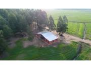 Vendo propiedad en Caazapa 641.989 Hectáreas Vendo USD 4.173.000 El valor de referencia Vendo propiedad en Caazapa 641.989 Hectáreas Vendo USD 4.173.000 El valor de referencia