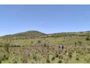 Campo Agrícola/Ganadero en Caapucu - 560 Ha. Campo Agrícola/Ganadero en Caapucu - 560 Ha.