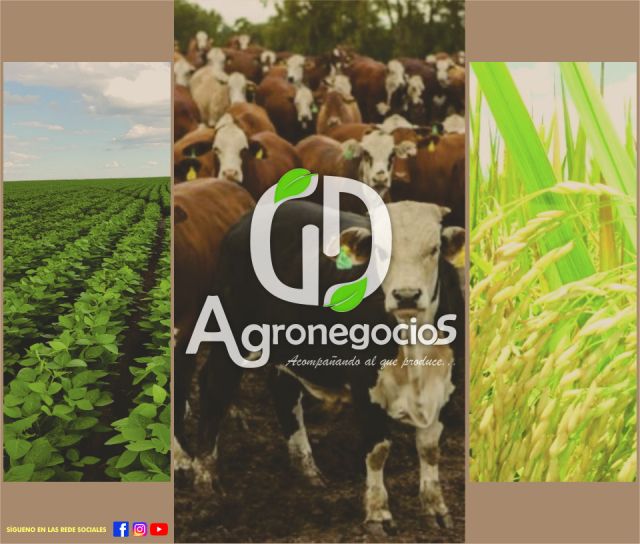 GD Agronegocios