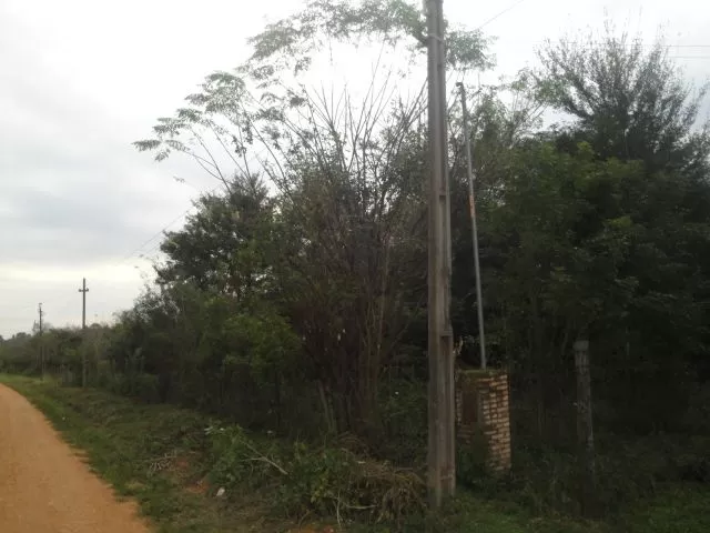 SANBER EXCELENTES TERRENOS MUY BUENA INVERSI — foto 2