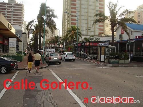 Departamento en Punta del Este - febrero! — foto 2
