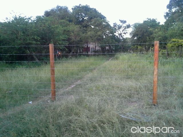 2 TERRENOS en MARIANO ROQUE ALONSO - OFERTA - — foto 2