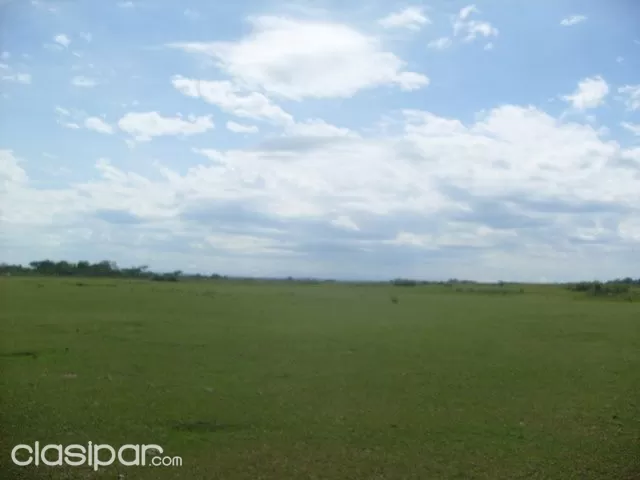 Santani 157 has de terreno a 500 mts del asfalto — foto 2