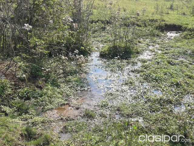 OFERTA DE 1 HECTAREA: 10600 mtrs. A 24 KM. DE ASUNCION — foto 3