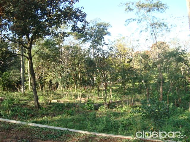 En ATYRA - Terreno pCasa Quinta - Con Mucha Vegetacion — foto 2