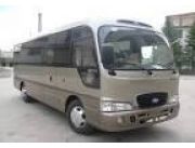 Minibus -bus-omnibus-Turismo- MINIBUSES HJ
