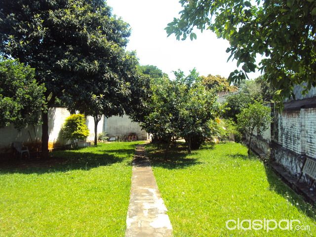 VENDO PROPIEDAD CON VIVIENDA) 0984_449257_ - SAN LORENZO, SINALCO 0 A 3 CUADRAS DE LA AVDA. M.O.GUERRERO. AMURALLADO Y MEJORAS — foto 3