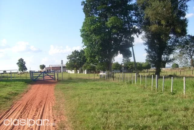 Vendo Caaguazu 1100 has 5 kms del asfalto tierra agrícola — foto 2