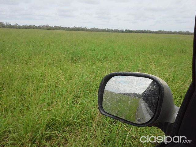 Propiedades Rurales, Estancias, desarrollo... Campos en Paraguay Lotegrande.com.py — foto 3