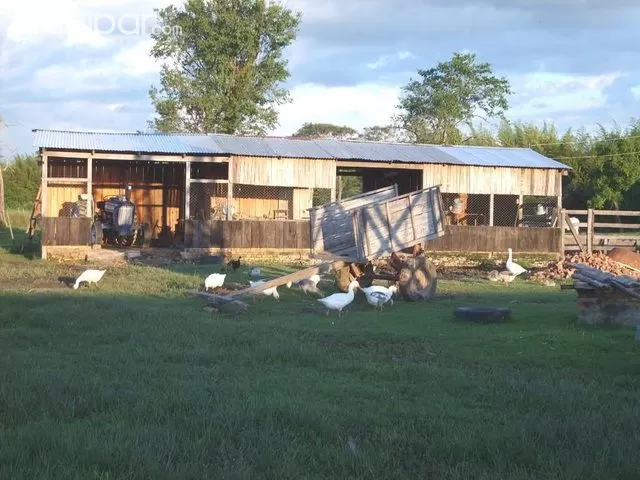Vendo Granja Con Terreno De 29 Hectáreas, Sobre Asfalto, Ruta Oviedo - Santani, Km 200. — foto 3