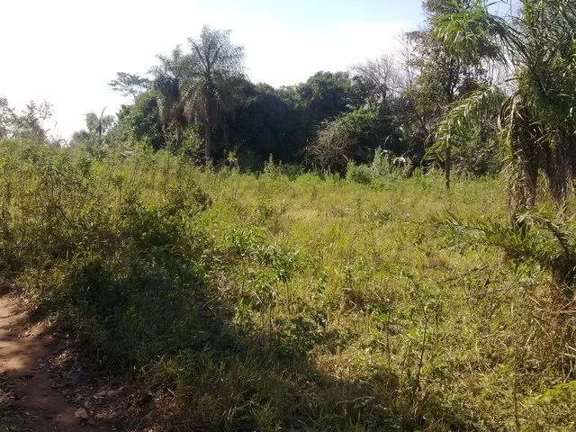 Vendo Terreno Distrito de Ita. — foto 2