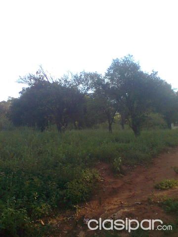 VENDO CASA QUINTA EN AREGUA — foto 3