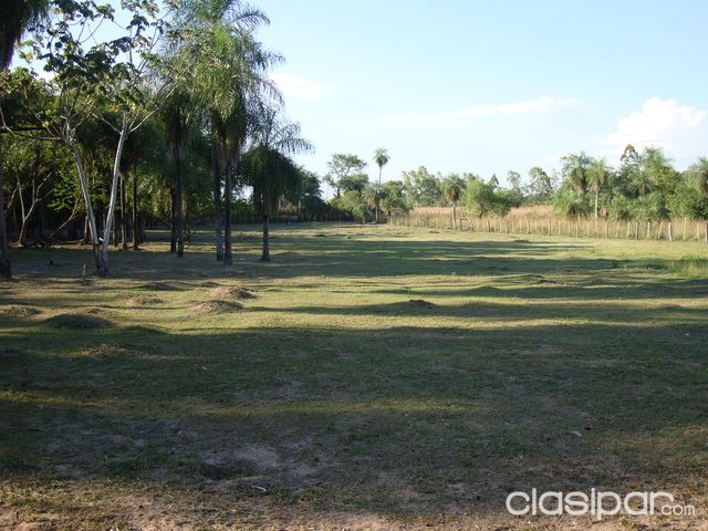 GRANJA EN LOMA GRANDE — foto 3