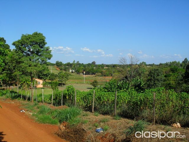 Dos terrenos juntos 13.350 mts2, en CDE, Km7 Barrio Ciudad Nueva, sobre la avda. Julio C. Riquelme a 3000 m. de la Ruta 7 — foto 3