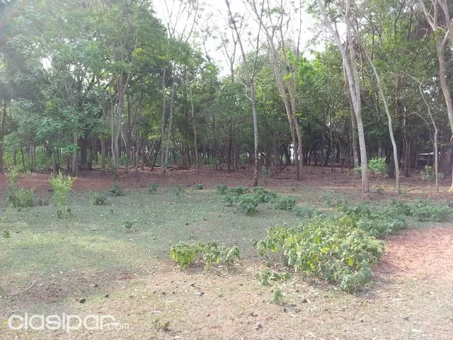 1 Ha en Santa Rosa del Aguaray - San Pedro — foto 3