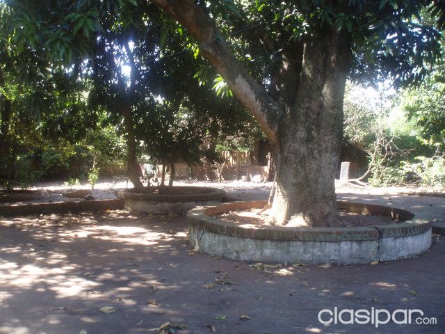 VENDO TERRENO en Ypane — foto 3