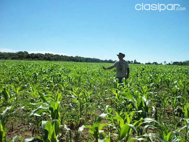CAAGUAZU 1.700 HAS TIERRA AGRICOLA MECANIZADA,Y GANADERA — foto 2