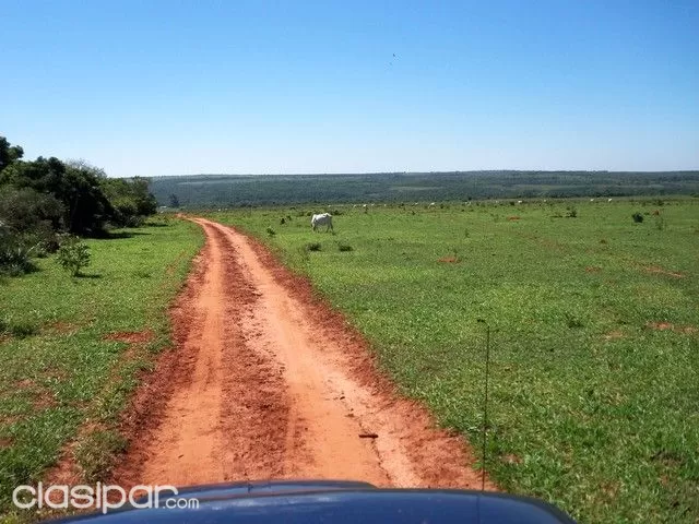 CAAGUAZU 1.700 HAS TIERRA AGRICOLA MECANIZADA,Y GANADERA — foto 3