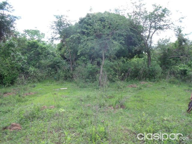 vendo una propiedad en villeta titulado 5htrea 25 millon x hrea — foto 2