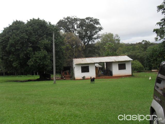 ESTABLECIMIENTO AGROINDUSTRIAL EN ISLA PUCU — foto 3