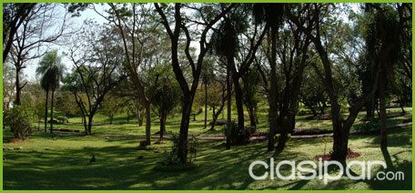 Jardin de la Paz Lambaré — foto 2