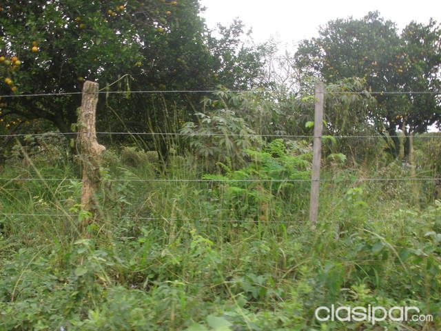 VENDO EN LUQUE SOBRE CALLE PRINCIPAL Y ALFALTADA 60.000 mts2 — foto 2